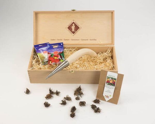 Seed box - Image 2