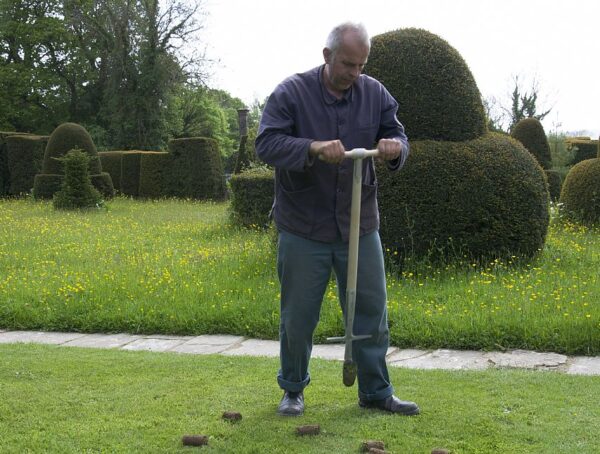 Great Dixter Bulb Planter - Image 4